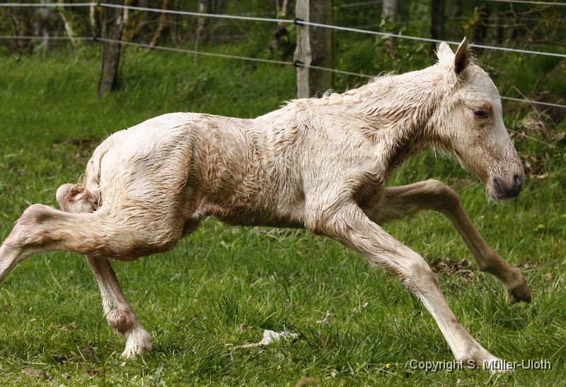 Hjoerdis 22 Min alt (8).JPG